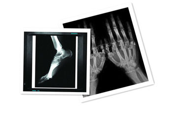 Le film X Ray médical d'ANIMAL FAMILIER de Hosipital de papier imperméabilisent le blanc de film de 8 CT de pouce ×10