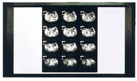 Film sec diagnostique du laser X Ray médical pour l'imprimante d'AGFA/Fuji